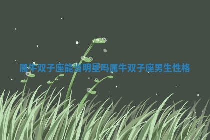 属牛双子座能当明星吗_属 ⬆ 牛双子座男 🐃 生性格