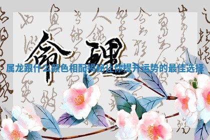 属龙跟什 🥟 么颜色相配揭秘让你提升运势的最佳选择 🥉